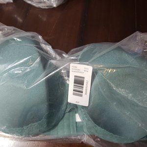 NWT in Bag Lightly Lined Full Coverage Bra - Cacique